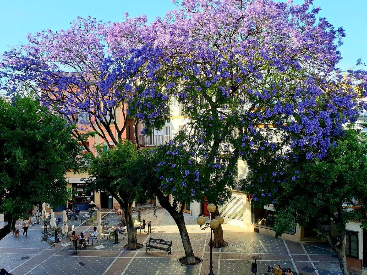 Sherryflat Senovilla Jerez de la Frontera Exteriör bild